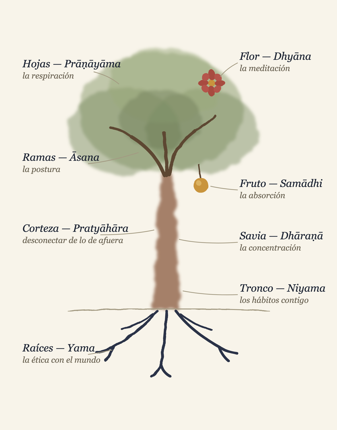 Ilustración en acuarela de un árbol con las ocho ramas del yoga señaladas: raíces como yama, tronco como niyama, ramas como āsana, hojas como prāṇāyāma, corteza como pratyāhāra, savia como dhāraṇā, flor como dhyāna y fruto como samādhi.