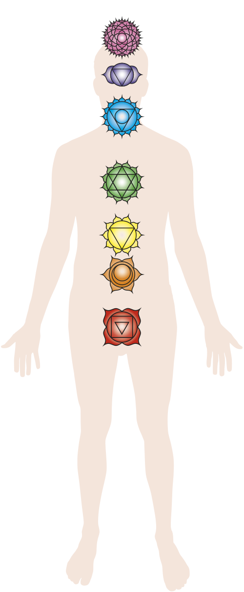 Diagrama del cuerpo humano con los siete chakras ubicados a lo largo de la columna, cada uno con su símbolo y color.
