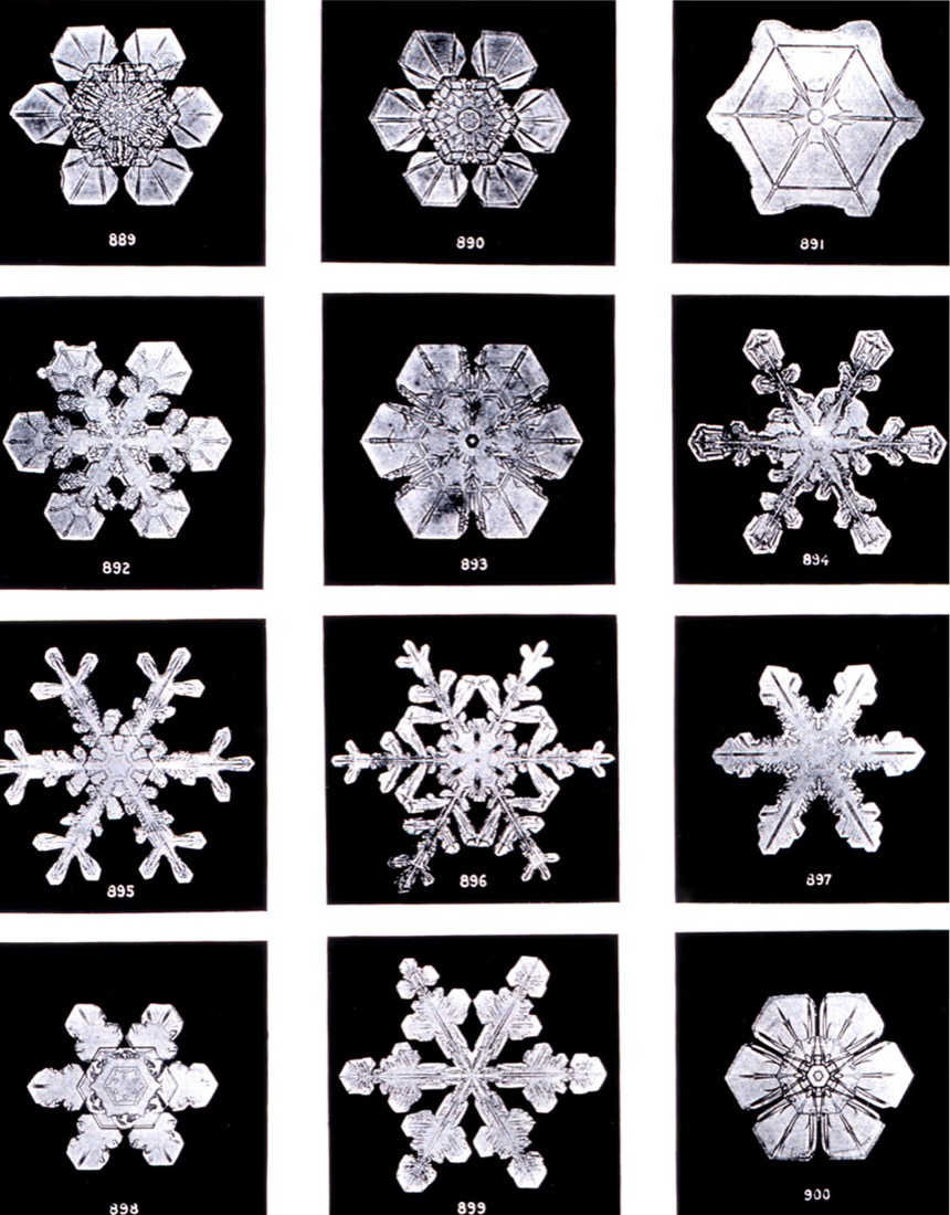 Lámina con doce fotografías de copos de nieve distintos, cada uno con su geometría única de seis brazos.