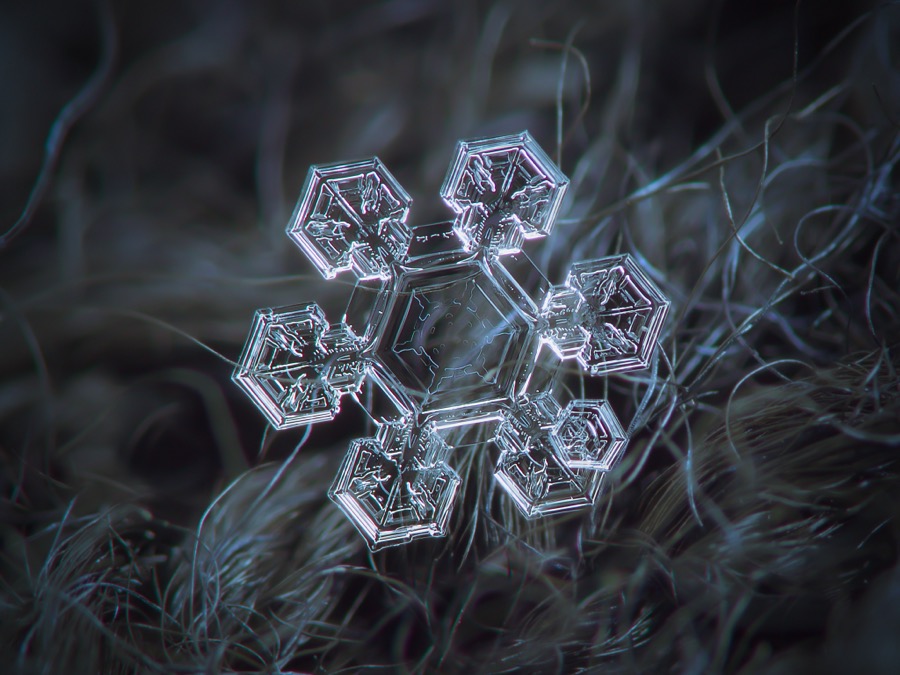 Cristal de hielo simétrico y armonioso, con seis brazos llenos de detalle.