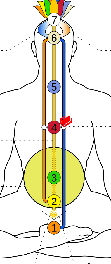Diagrama de una figura sentada con los tres canales subiendo por la columna y los siete chakras alineados en el centro.