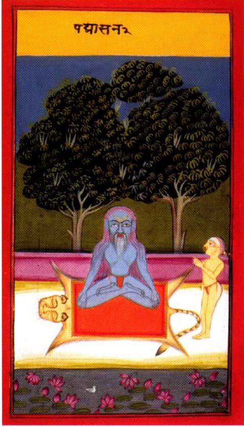 Las 8 ramas del yoga: mucho más que solo posturas